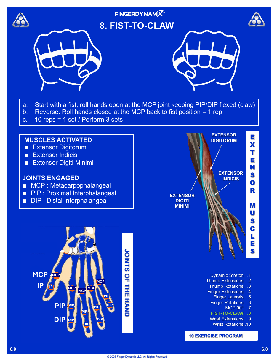 Fist-to-Claw exercise sheet — movements, sets, and muscles activated