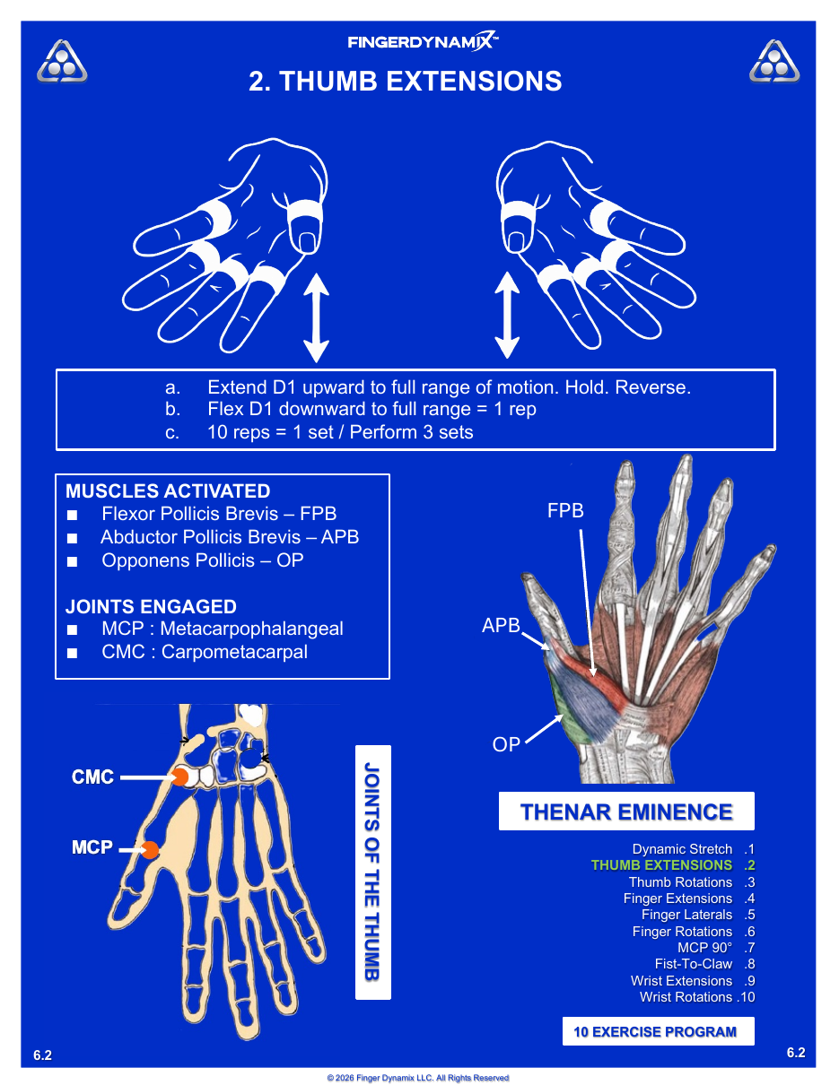 Thumb Extensions exercise sheet — movements, sets, and muscles activated