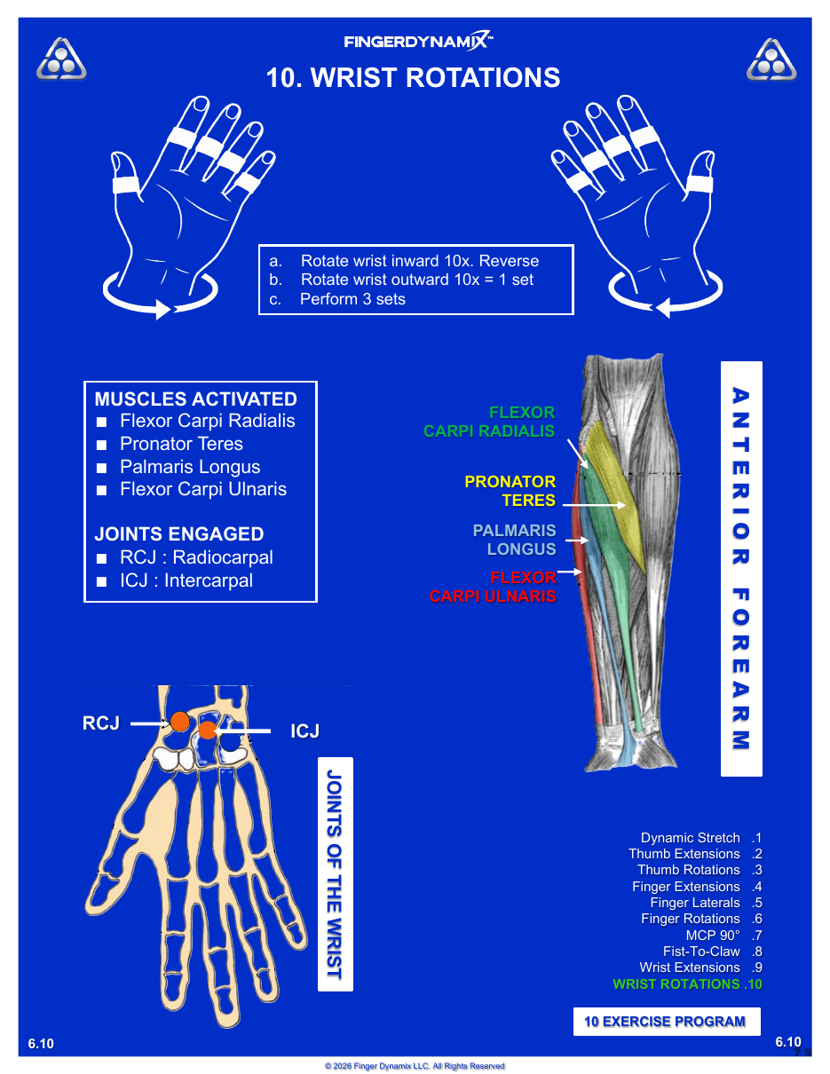 Wrist Rotations exercise sheet — movements, sets, and muscles activated