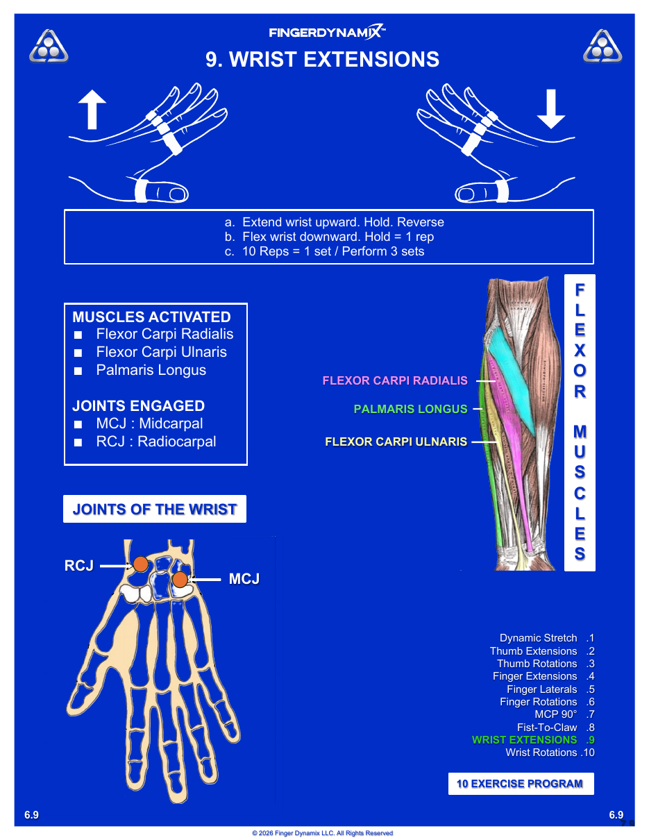Wrist Extensions exercise sheet — movements, sets, and muscles activated